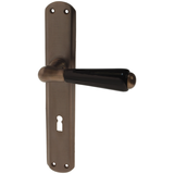 Zimmertürgarnitur Federspiel in Messing, antik