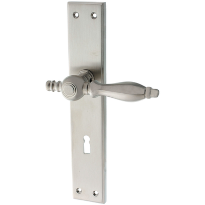 Zimmertürgarnitur Längholz matt vernickelt