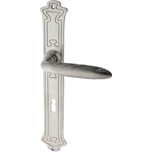 Zimmertürgarnitur Brunni-Alpthal matt vernickelt