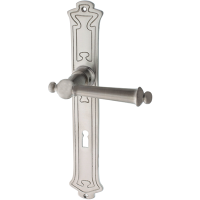 Zimmertürgarnitur Willehad matt vernickelt