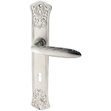 Zimmertürgarnitur Ruprecht matt vernickelt