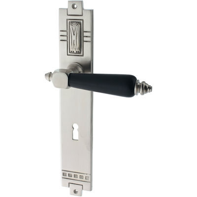 Zimmertürgarnitur Altstegweiher matt vernickelt