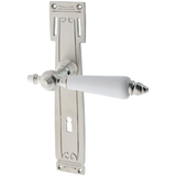 Zimmertürgarnitur Steibachweier matt vernickelt