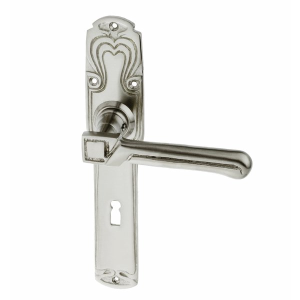 Messing Türbeschlag vernickelt, matt gebürstet elegantes Design silber matt