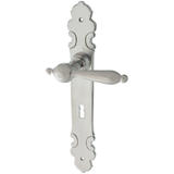 Zimmertürgarnitur Rowena matt vernickelt