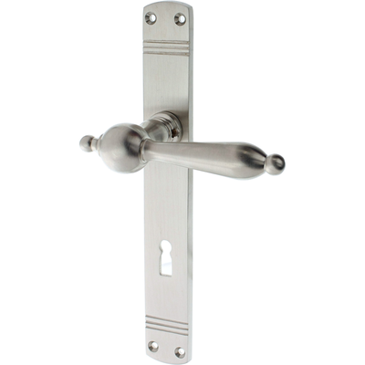 Zimmertürgarnitur Nadelhorn matt vernickelt