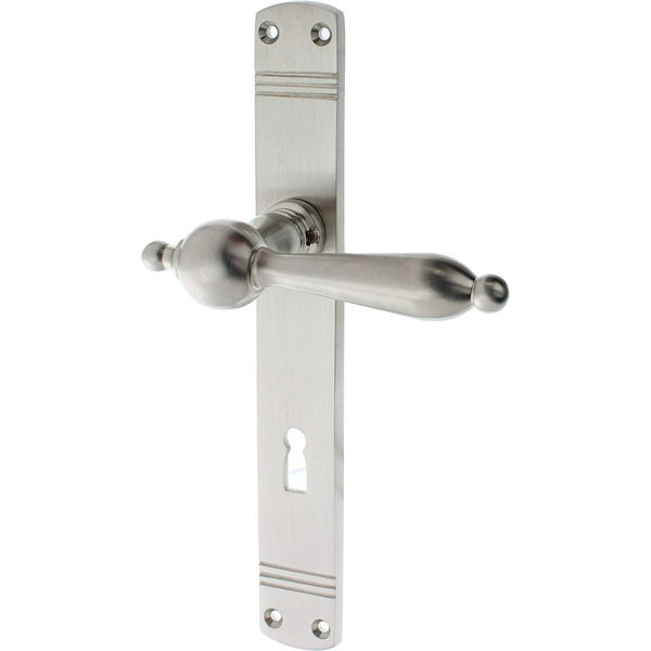 Zimmertürgarnitur Nadelhorn matt vernickelt