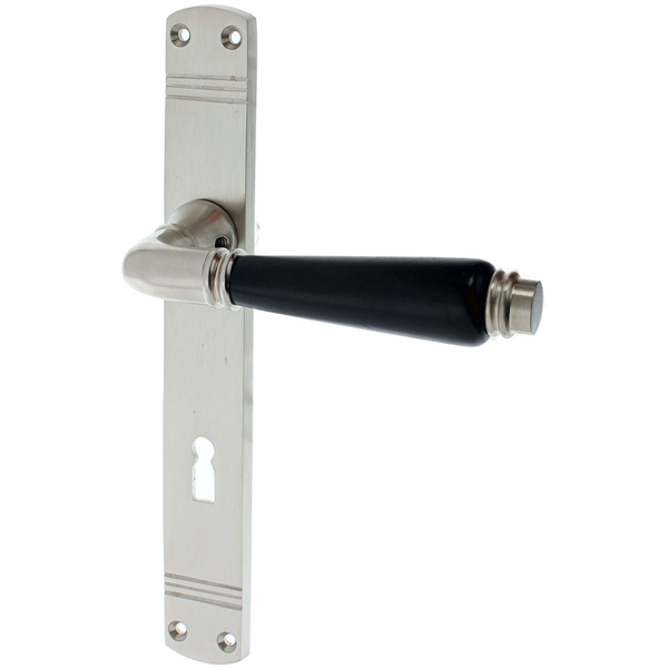 Zimmertürgarnitur Walliser matt vernickelt