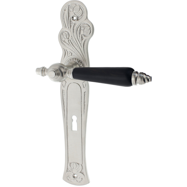 Zimmertürgarnitur Schäfler matt vernickelt