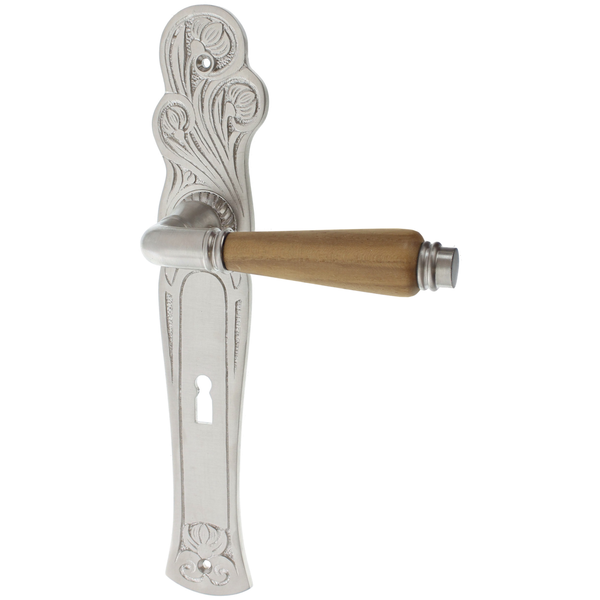 Zimmertürgarnitur Tägerwilen matt vernickelt