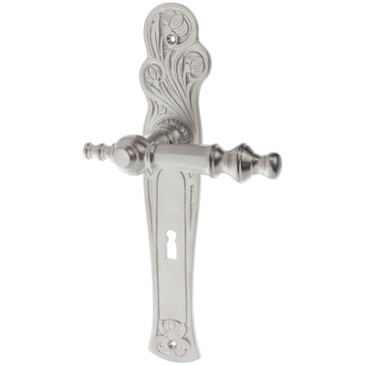 Zimmertürgarnitur Gwächtenhorn matt vernickelt