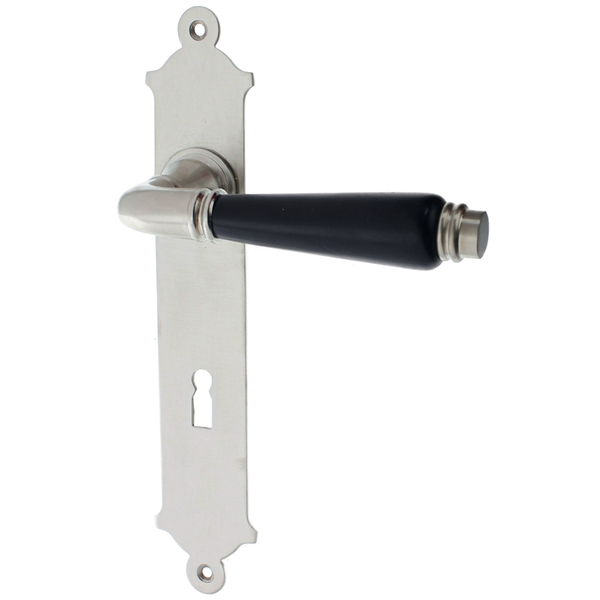 Zimmertürgarnitur Bonfol matt vernickelt