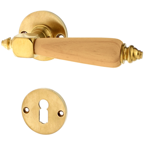Messing Türbeschlag patiniert schlichtes Design matt gold